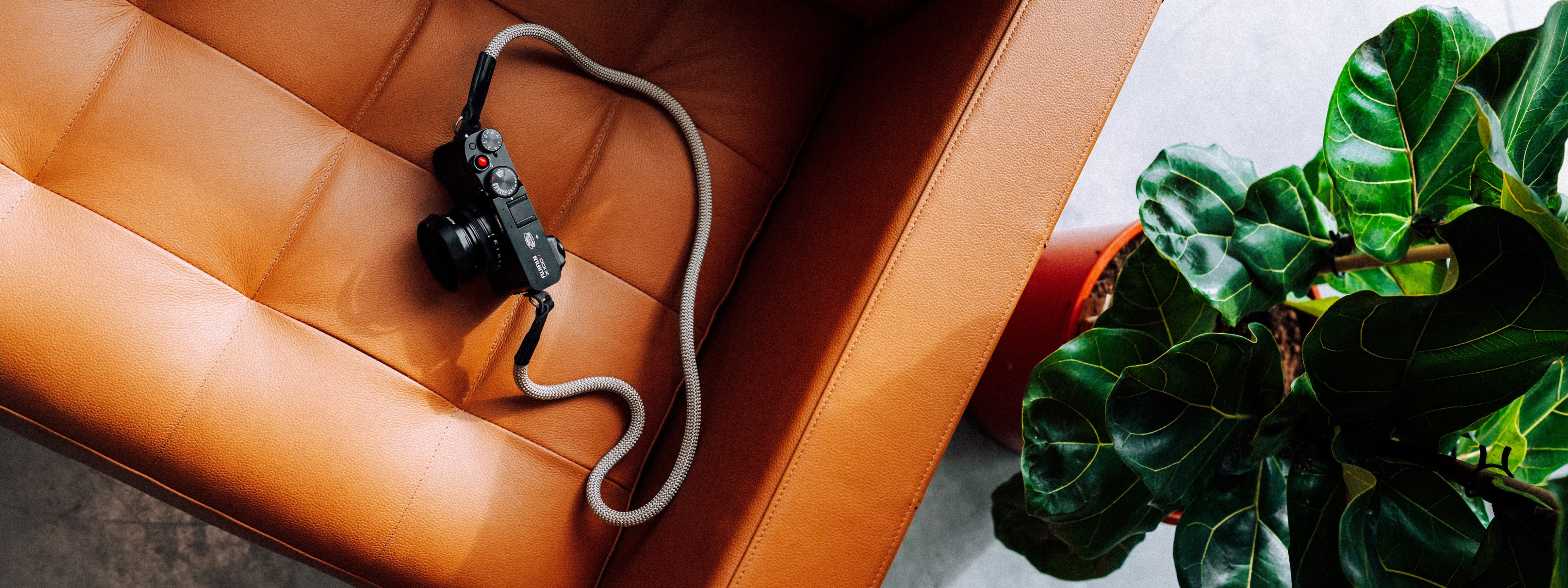 Camera on leather seat with green houseplant, minimalist photography setup